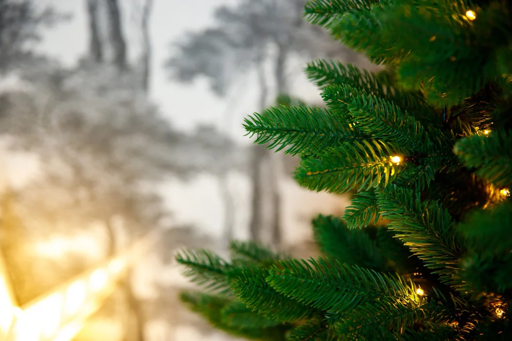 Zielone choinki na święta